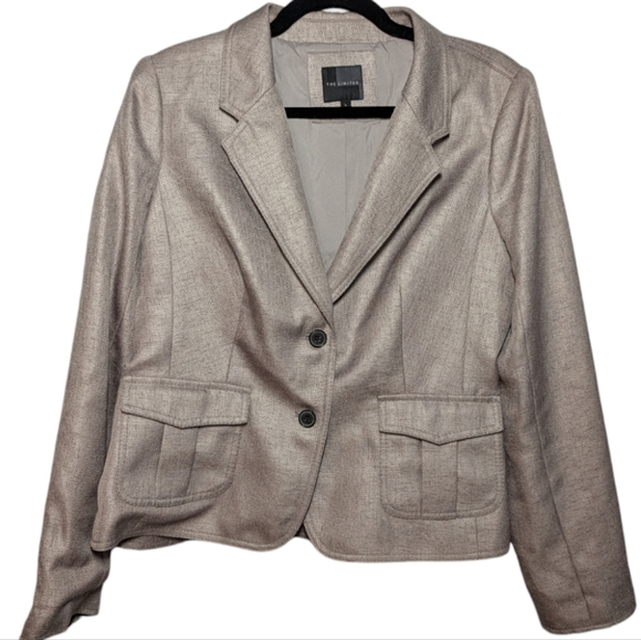 The Limited Jackets & Blazers - The Limited Women's Metallic Silver Blazer L ✨💼